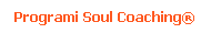 Zakaj Soul Coaching�?